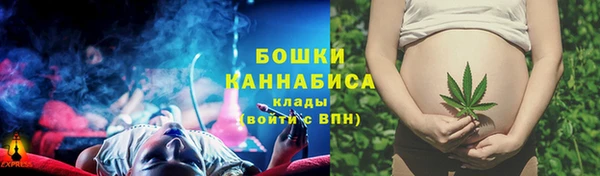 гидра Карпинск