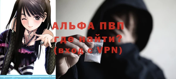 гидра Карпинск