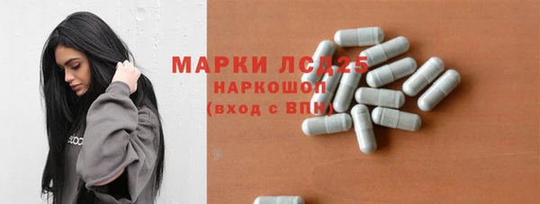 гидра Карпинск