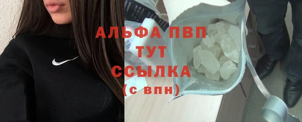 гидра Карпинск