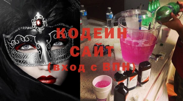 гидра Карпинск