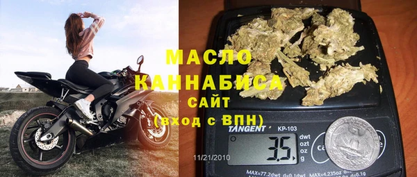 гидра Карпинск