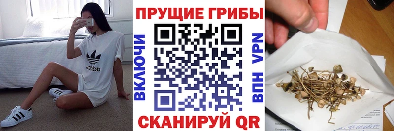 Псилоцибиновые грибы MAGIC MUSHROOMS  Купить где  Щигры 